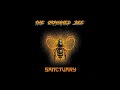 The Orphaned Bee - Sanctuary (Official Audio)