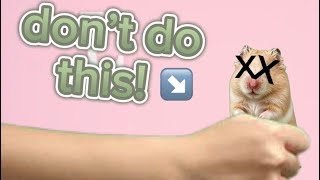 How to make your hamster live longer #tips #hamster #pets #animals 