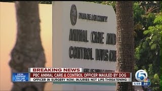Dog mauls animal care and control officer
