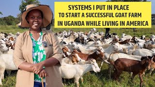 How I Started a Successful Goat Farm In Uganda While Living In America - Systems I Put In Place