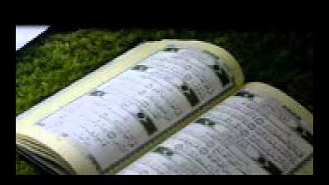 سورة الاخلاص والمعوذتين للقارئ سعد الغامدي تلاوة رائعة