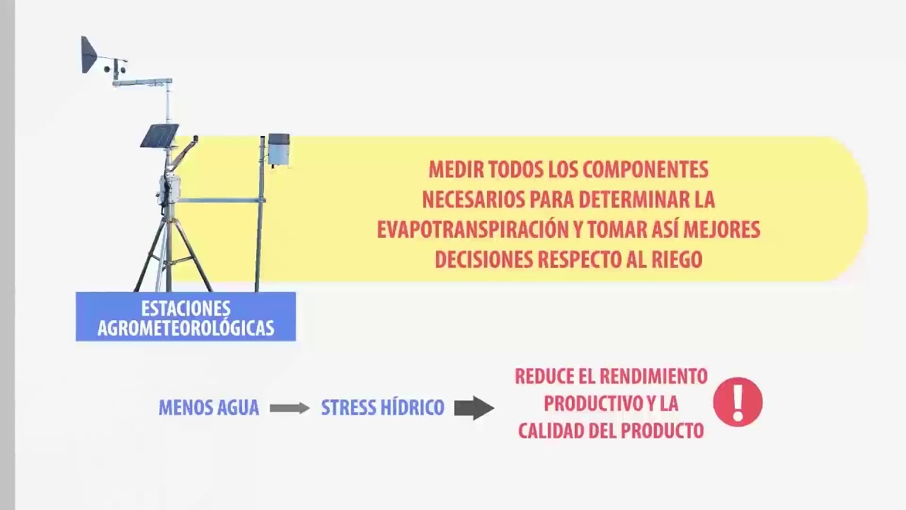 Modulo 4 - YouTube