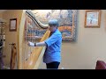 Wind That Shakes the Barley and Rights of Man - live - folk harp