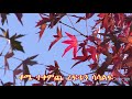 Muluken Melese - Baynish Lilefibet -Baynesh Lelefebet- Endene Sewnet [ሙሉቀን መለሰ -ባይንሽ ልለፍበት] 1973 EC