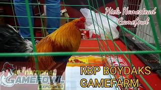 6th National Gamefowl Expo 2019 VILAC GAMEFARM & RBP BOYDAKS GAMEFARM