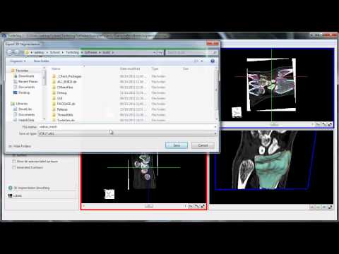TurtleSeg Features: Segmentation Exporting