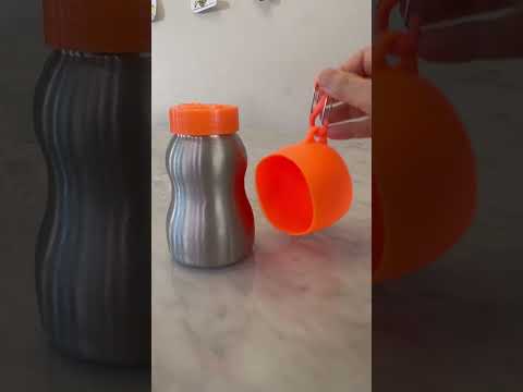<strong>Dog</strong> Travel Water Bottle Review - Kong <strong>vs</strong> non branded #dogwaterbottle #<strong>dog</strong> #kong