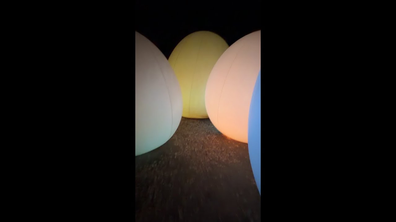 Osaka, Japan - teamLab Botanical Garden Osaka - YouTube