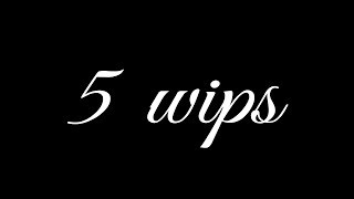 5 wips