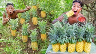 Eat Pineapple So Delicious - Mouth Watering With Pineapple With Salt Chili Pepper