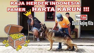 PAMER HARTA KARUN  RAJA HERDER INDONESIA