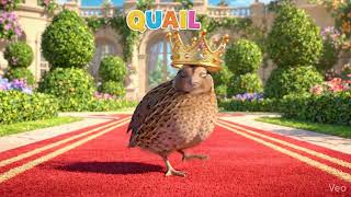 Q for Quail | The Royal Quail’s Red Carpet Fail | Fun ABC Learning