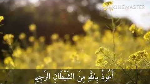 سورة الإنسان - عمر الدريويز بالمقام العراقي ..