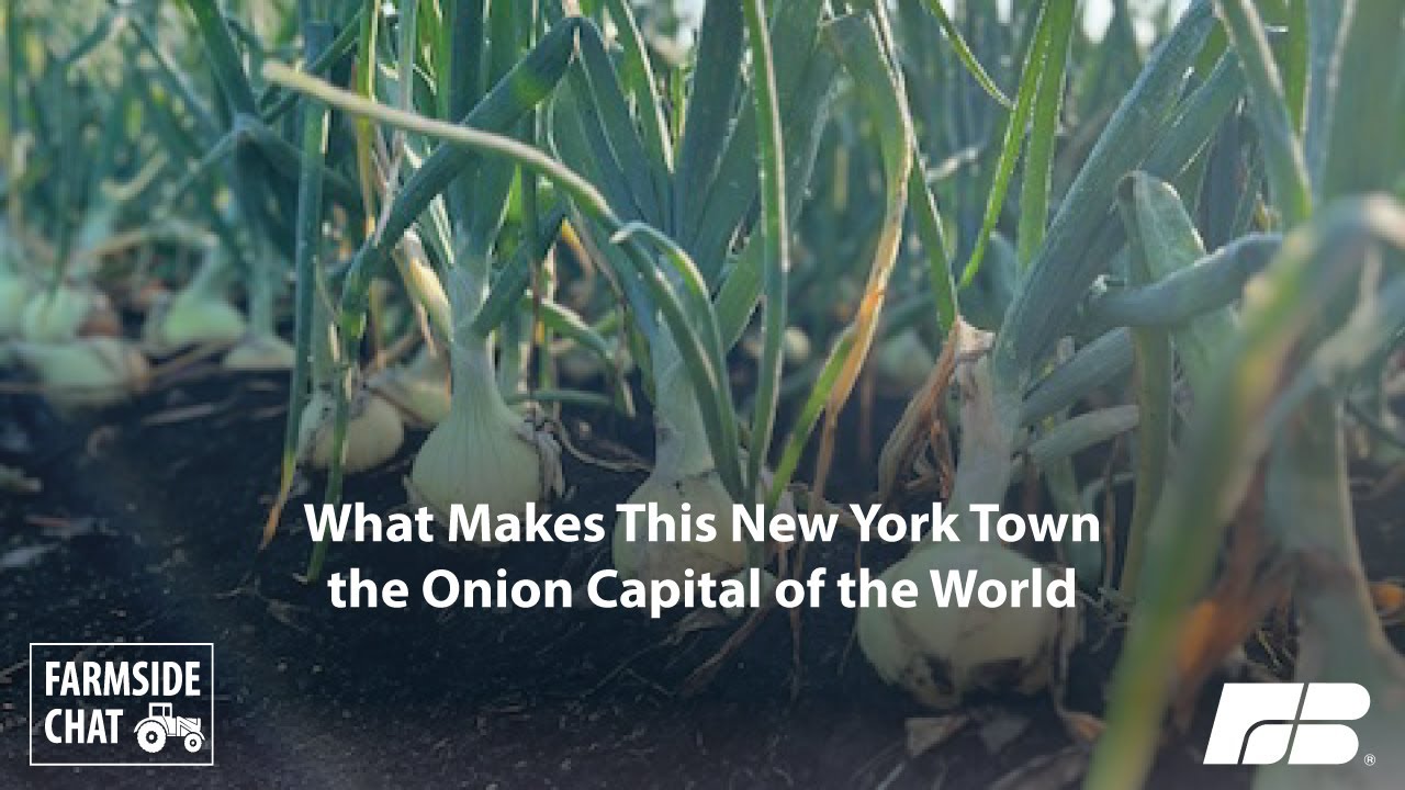 What Makes this New York Town the Onion Capital of the World