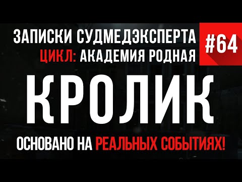 Видео: Записки Судмедэксперта #64 «Кролик в сметане» (Академия родная)