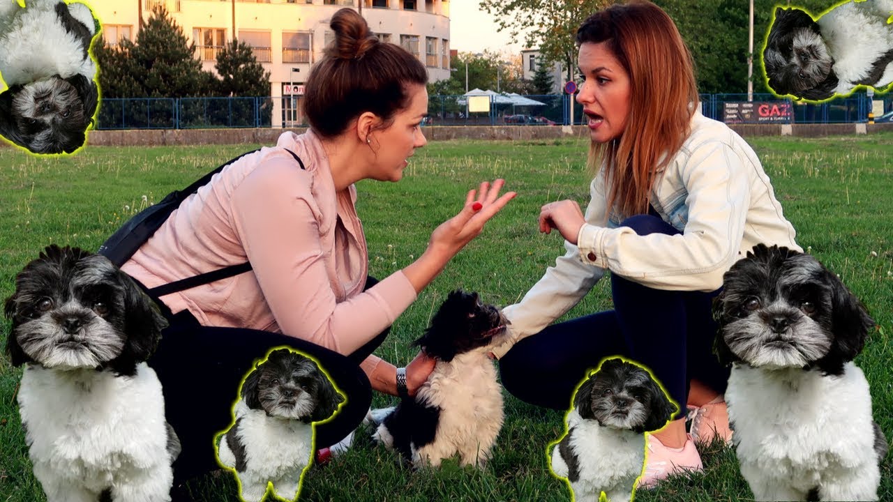 ŠTO KRIVO RADIM SA PSOM?!🐶w/ Ženski svijet