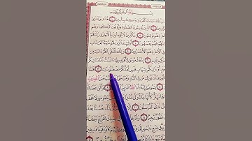 سورة النمل فارس عباد #قرآن_كريم #اكسبلورهاشتاقات