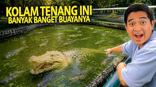 TERLIHAT TENANG PADAHAL BANYAK BUAYA! PERTAMAKALI LIAT GORILA LANGSUNG! RAGUNAN ZOO 2026!