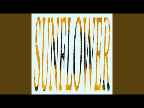 Video: Sunflower Tshauv Rot