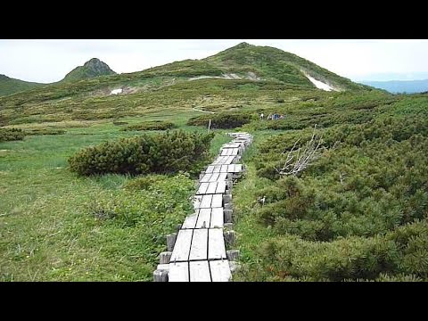 花の百名山夕張岳に登る 15年6月28日 Youtube 花の百名山夕張岳に登る 15年6月28日 Youtube
