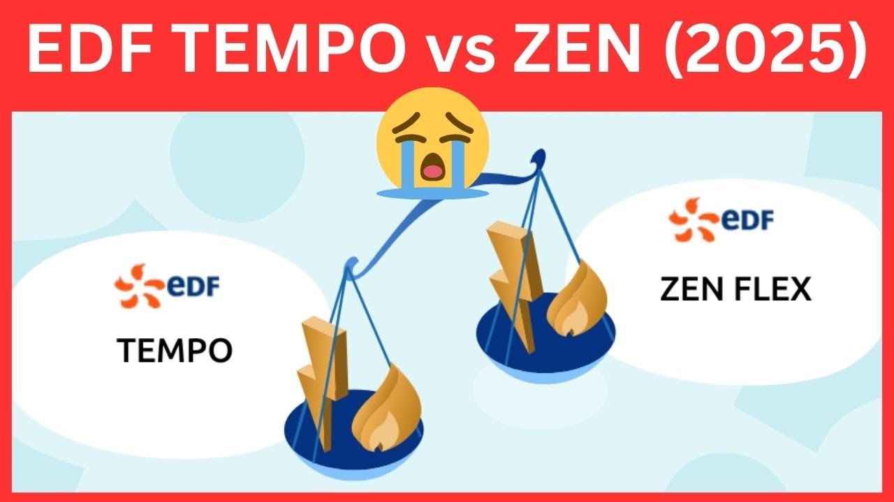 Edf Zen Flex O Tempo