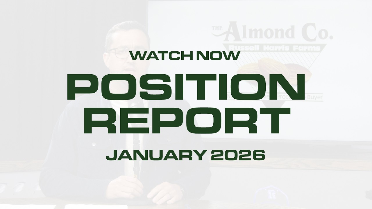 THE POSITION REPORT | January 2026
