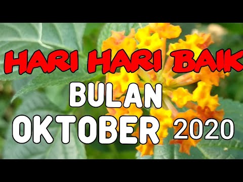 Video: Hari yang baik untuk pembedahan pada Oktober 2020