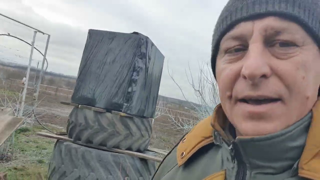 Яке укриття винограду найкраще? Закладка експеременту. 