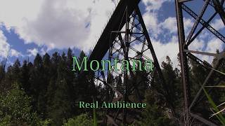 Real Montana Trestle Ambience (2 Hours)- No AI | HD