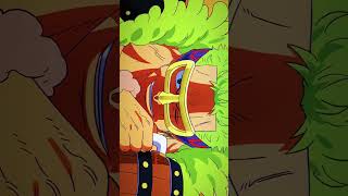 Toei never miss hyperlink zoro #zoro #onepiece