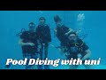 Pool Diving | Falmouth University | MNHP