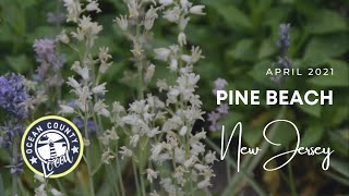 Pine Beach, NJ - Monthly Market Update - April 2021