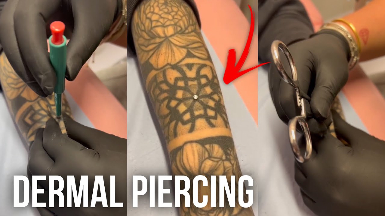 Want a Dermal Piercing in Denver  Best Tattoo  Piercing Shop  Tattoo  Artists in Denver