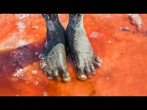 Video: Natron: Der See, Der Alles Leben In Stein Verwandelt