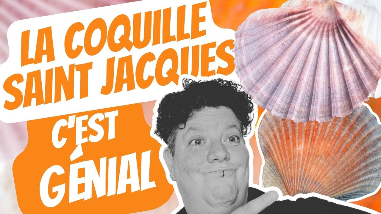 les Pouvoirs Mystérieux de la Coquille SaintJacques bien plus qu'un