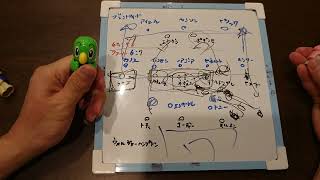 ウォルバーハンプトン対ブレンドフォード