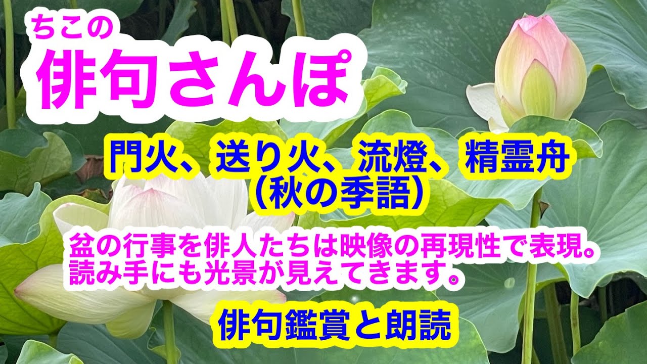 俳句さんぽ 27回 朝顔 秋の季語 小さい頃から親しみのある朝顔 太陽がのぼりきるまでには萎んでしまう花を俳人たちはどう表現したのでしょうか 俳句 俳句鑑賞 俳句朗読 Youtube