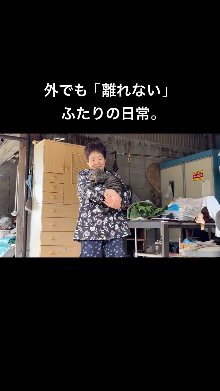 キヨと祖母(アラサーニートと4匹の猫) - YouTube