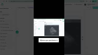 Genera Informes con tu Estilo | Informes Veterinarios en Segundos