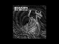 Warrior sweden  hate maelstrom  2024 full length