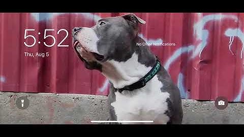 Nano Studio 2 - making a unique beat ft Lagrange Auv3 Prod By SLPGroundSoundMusic