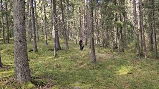 Birk Wirtuaali-Wt Tehtävä 2