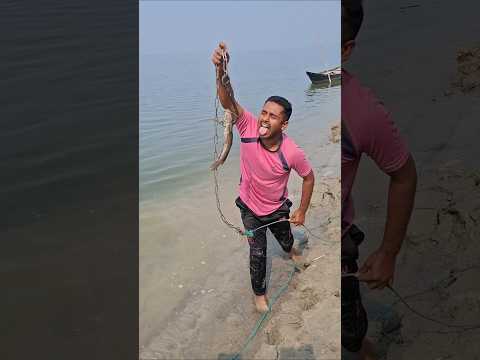 Quick Fishing Trick With Effective Bait #fishinggear #fishing #fish