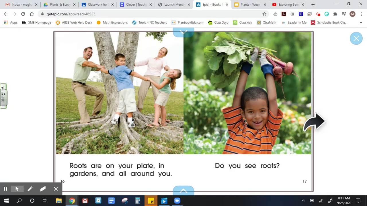 Exploring Roots - YouTube