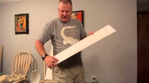 Dollar Tree foam wing.