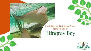 Hello from Stingray Bay - Fort Wayne Childrens Zoo