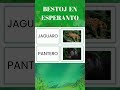 Bestoj en Esperanto