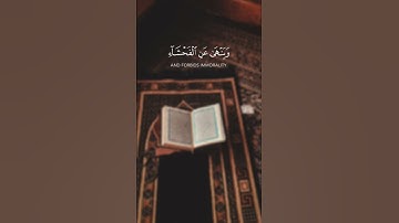 إن الله يأمر بالعدل و الإحسان و إيتائ ذي القربي || القارئ: عبد الرحمن مسعد