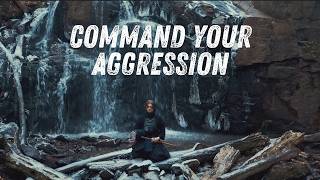 Week 47 Digest — Controlled Aggression: Force With Discipline