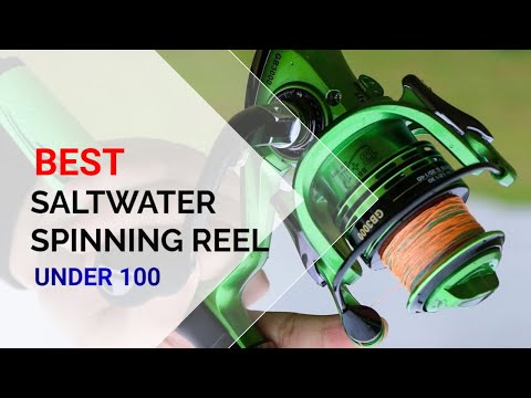 Best Saltwater Spinning Reel Under $100 - I Can't Believe It! 